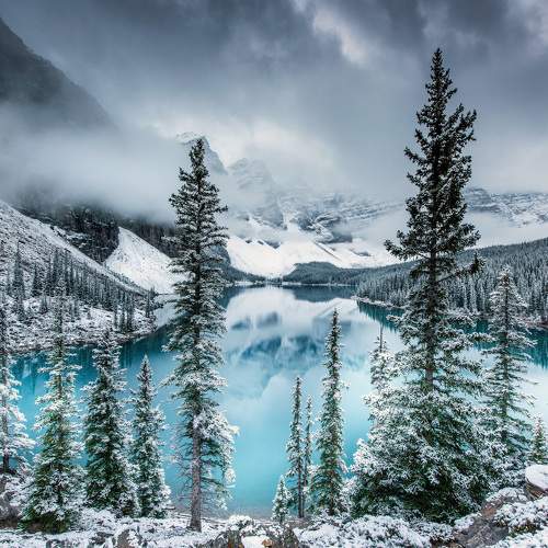 Превью фотографии фотографа Trevor Cole