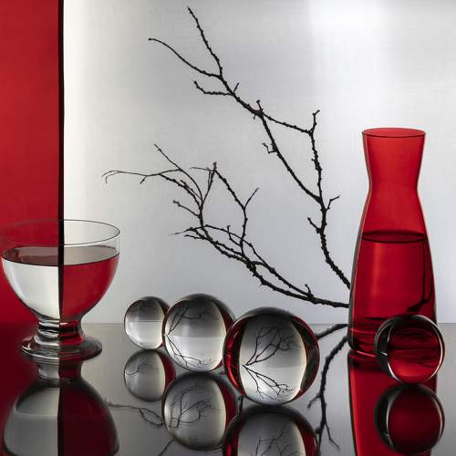 Preview Photographer\'s photo Chapman Luba