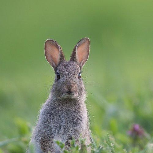 Preview Photographer\'s photo Marcin Kaczmarkiewicz