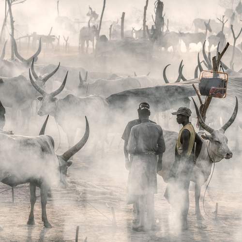 Preview Photographer\'s photo Trevor Cole