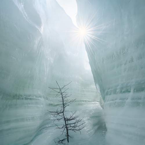 Preview Photographer\'s photo Арсений Кашкаров