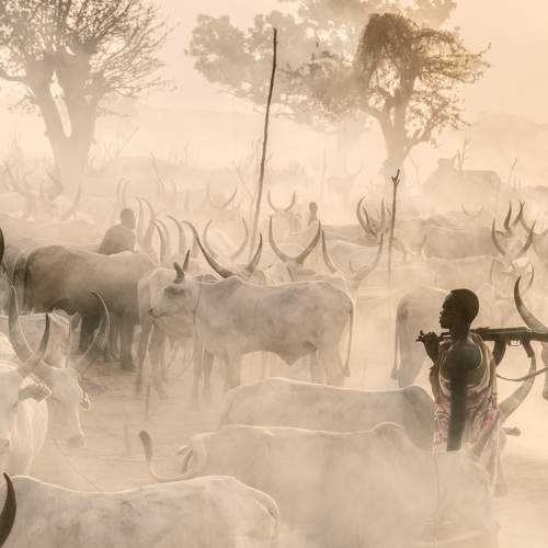 Превью фотографии фотографа Trevor Cole