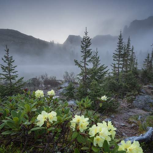 Превью фотографии фотографа Ермолицкий Александр