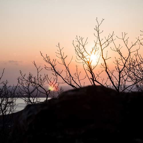 Превью фотографии фотографа Anna Kotelnikova