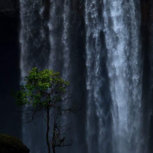 Preview Photographer\'s photo Nguyễn Anh Tuấn