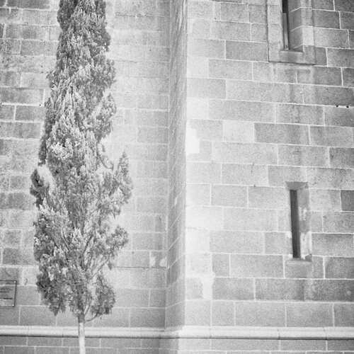 Превью фотографии фотографа sergey