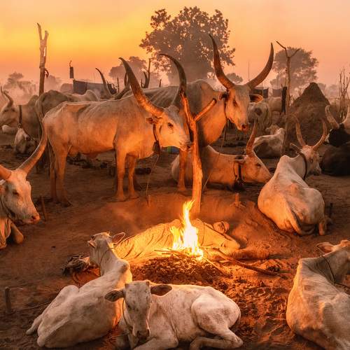 Preview Photographer\'s photo Trevor Cole