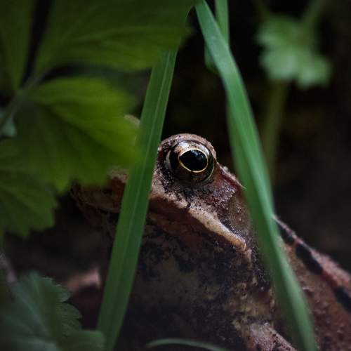 Preview Photographer\'s photo Vania Tonova