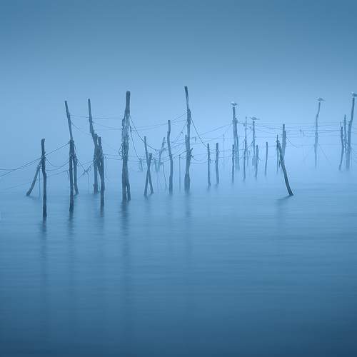 Preview Photographer\'s photo Borislav Kostov