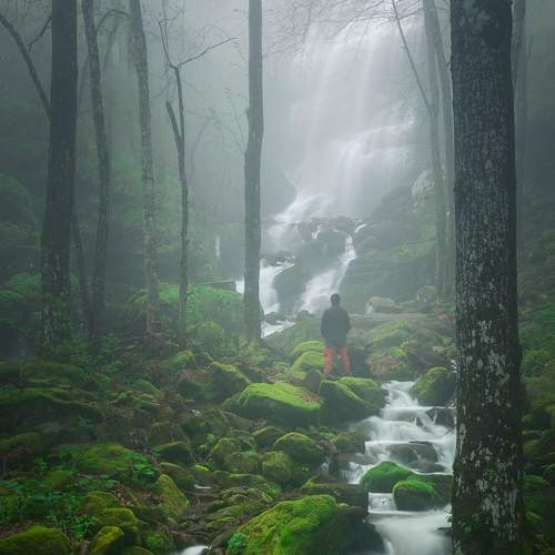 Preview Photographer\'s photo Петко Петков