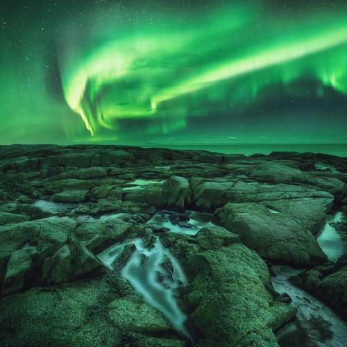 Превью фотографии фотографа Dmitry Medyancev