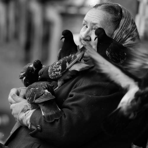 Превью фотографии фотографа Андрей Петросян