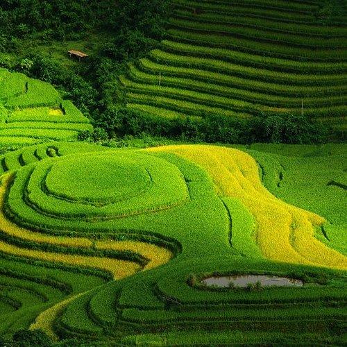 Preview Photographer\'s photo Frank Dang