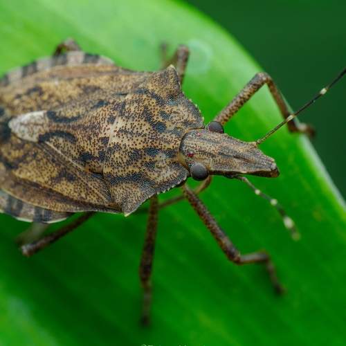 Превью фотографии фотографа Venkat Mangudi