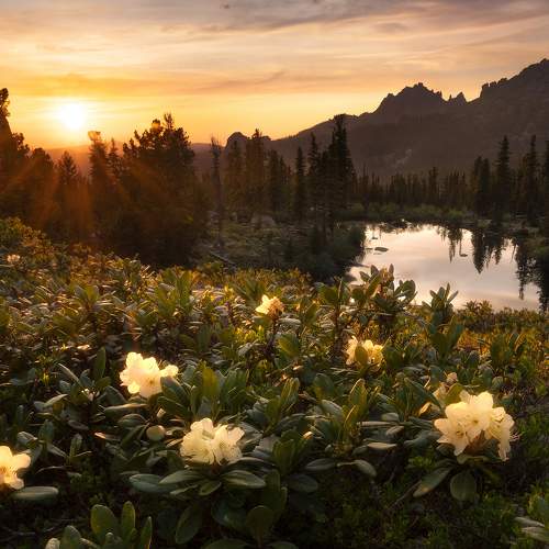 Превью фотографии фотографа Konstantin Kalinin