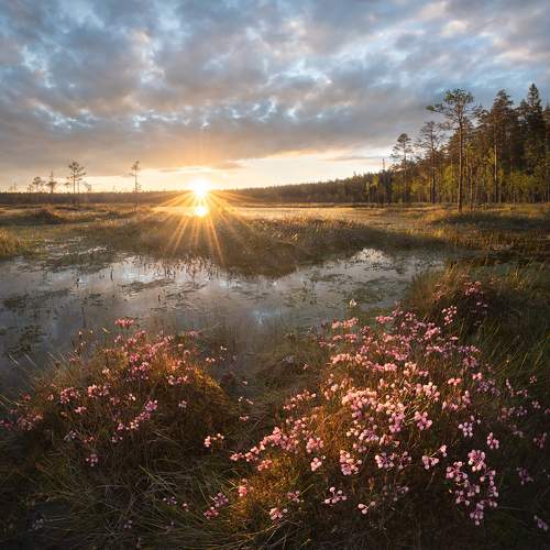 Превью фотографии фотографа Арсений Кашкаров