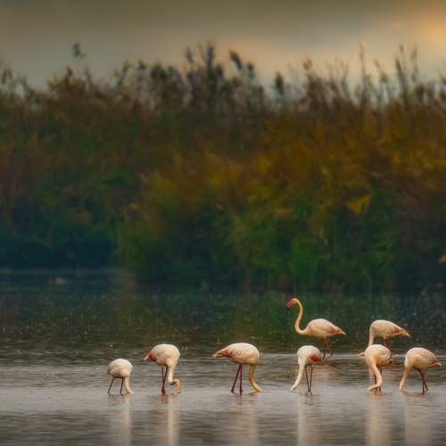 Превью фотографии фотографа Евгений Шварцман