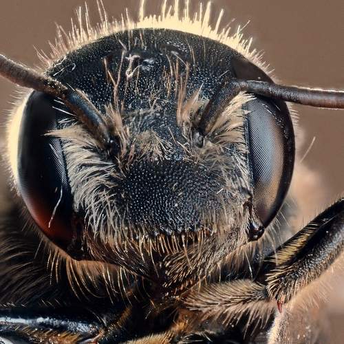 Превью фотографии фотографа Ercan Yurt