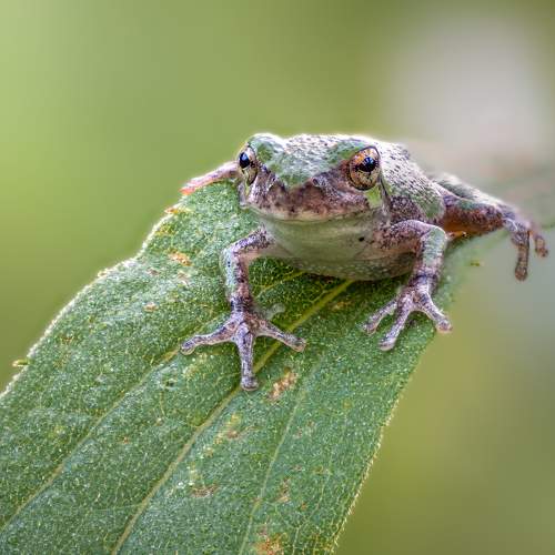 Preview Photographer\'s photo Atul Saluja