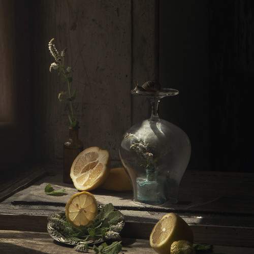 Превью фотографии фотографа Natalia Ricci