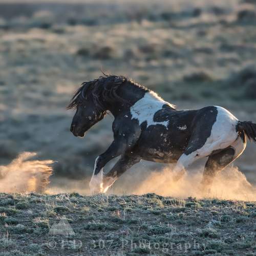 Preview Photographer\'s photo Tony Douzenis
