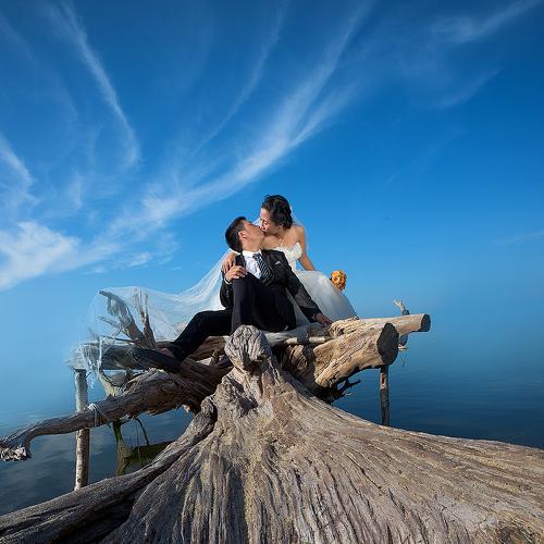 Preview Photographer\'s photo Kelvin