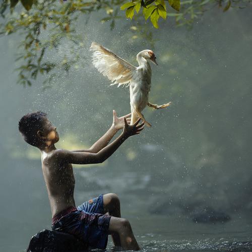 Preview Photographer\'s photo Saravut Whanset