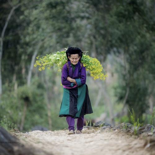 Preview Photographer\'s photo Trần Tiến Trung