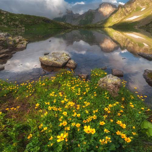 Превью фотографии фотографа Кахарова Наргиза