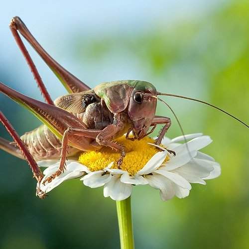 Preview Photographer\'s photo Linas T