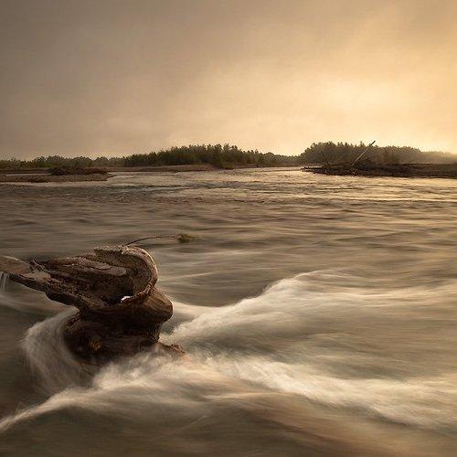 Превью фотографии фотографа Sir Fisher