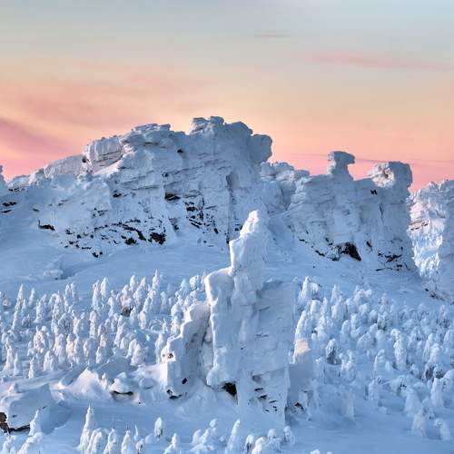 Превью фотографии фотографа Савицкий Ян