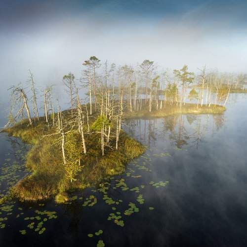 Preview Photographer\'s photo Гордон Николай