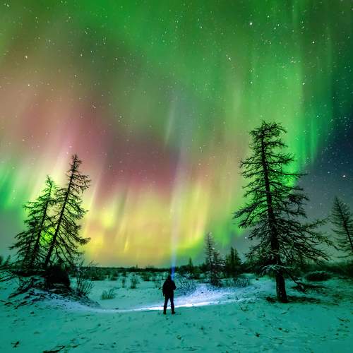 Превью фотографии фотографа Куликов Виктор