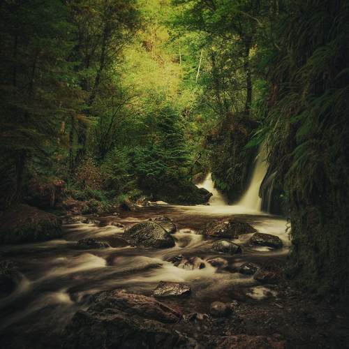 Превью фотографии фотографа Vasilev Kris