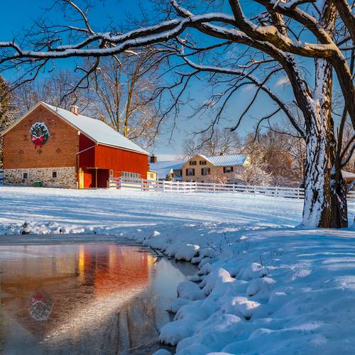 Preview Photographer\'s photo Donald Reese