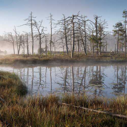 Preview Photographer\'s photo Гордон Николай