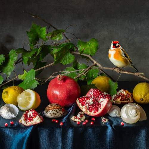 Превью фотографии фотографа Слуцкая Яна