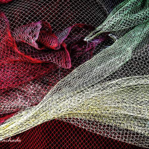 Preview Photographer\'s photo Machado Carlos