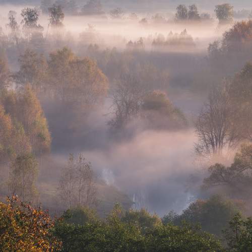 Превью фотографии фотографа Виталий Левыкин