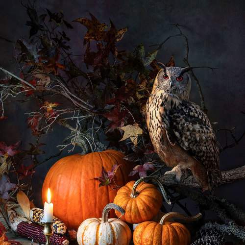 Preview Photographer\'s photo Слуцкая Яна