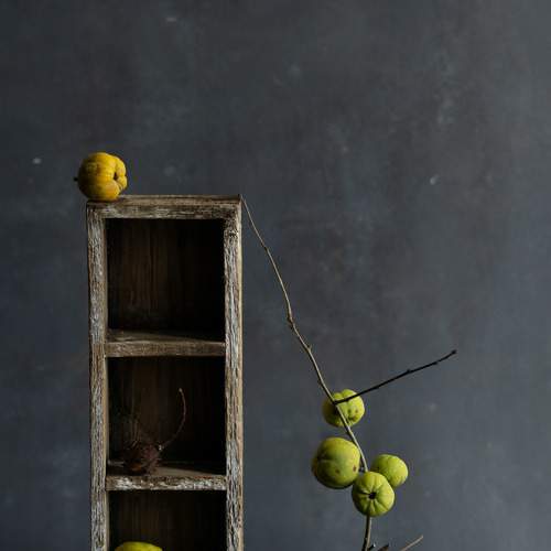 Превью фотографии фотографа Milla Walmus