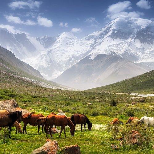 Preview Photographer\'s photo Vitaliy Rage