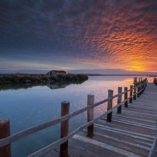 Preview Photographer\'s photo Jose Canelas