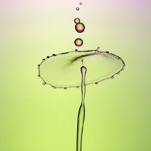 Превью фотографии фотографа SAYADI YOUSEF