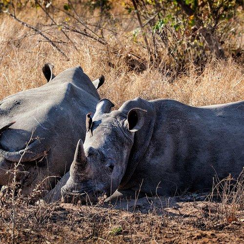 Превью фотографии фотографа Andre Victor