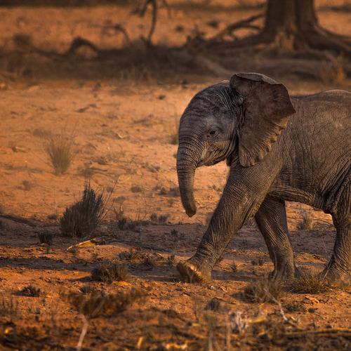 Preview Photographer\'s photo stefano.tassano