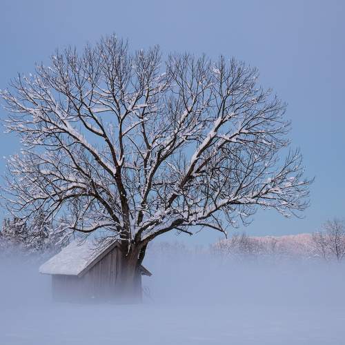 Preview Photographer\'s photo  Gregor