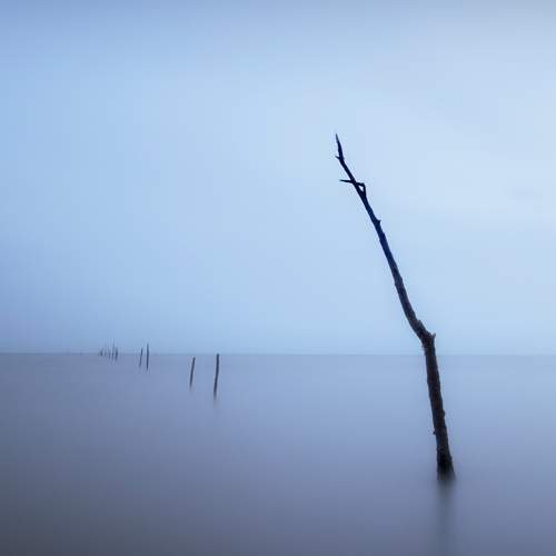 Preview Photographer\'s photo Morteza Ghanbari