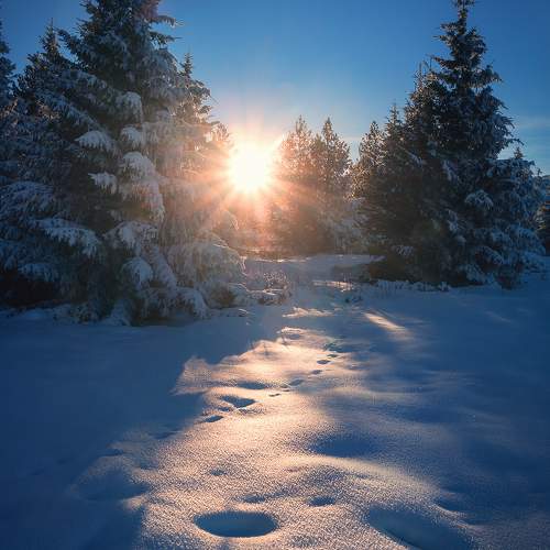 Превью фотографии фотографа Vania Tonova